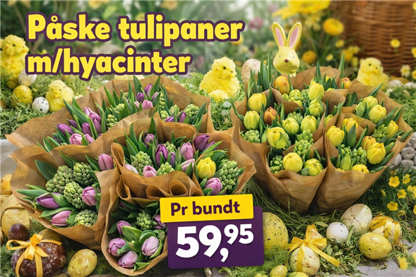 1 bundt Tulipaner m/hyacinter