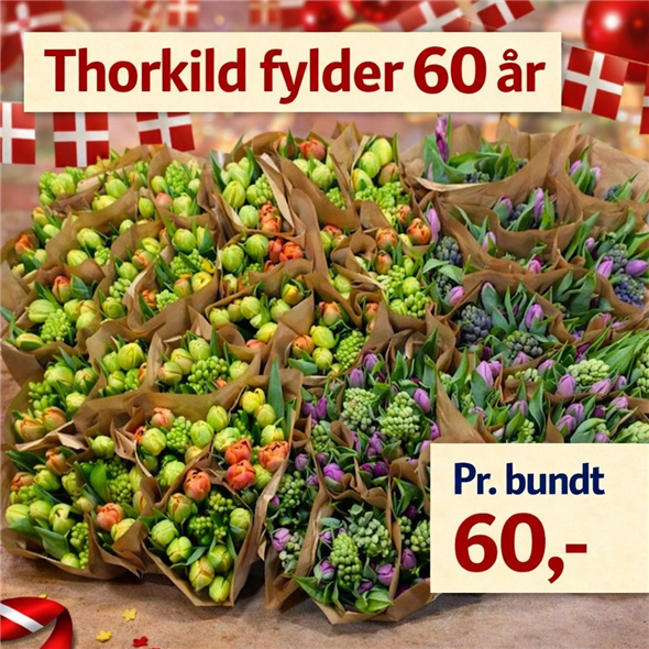 1 bundt Tulipaner
