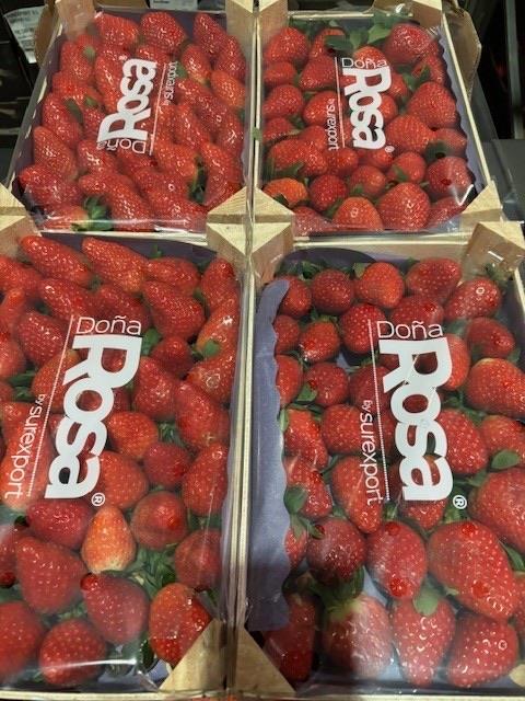 1 kilo Spanske jordbær
