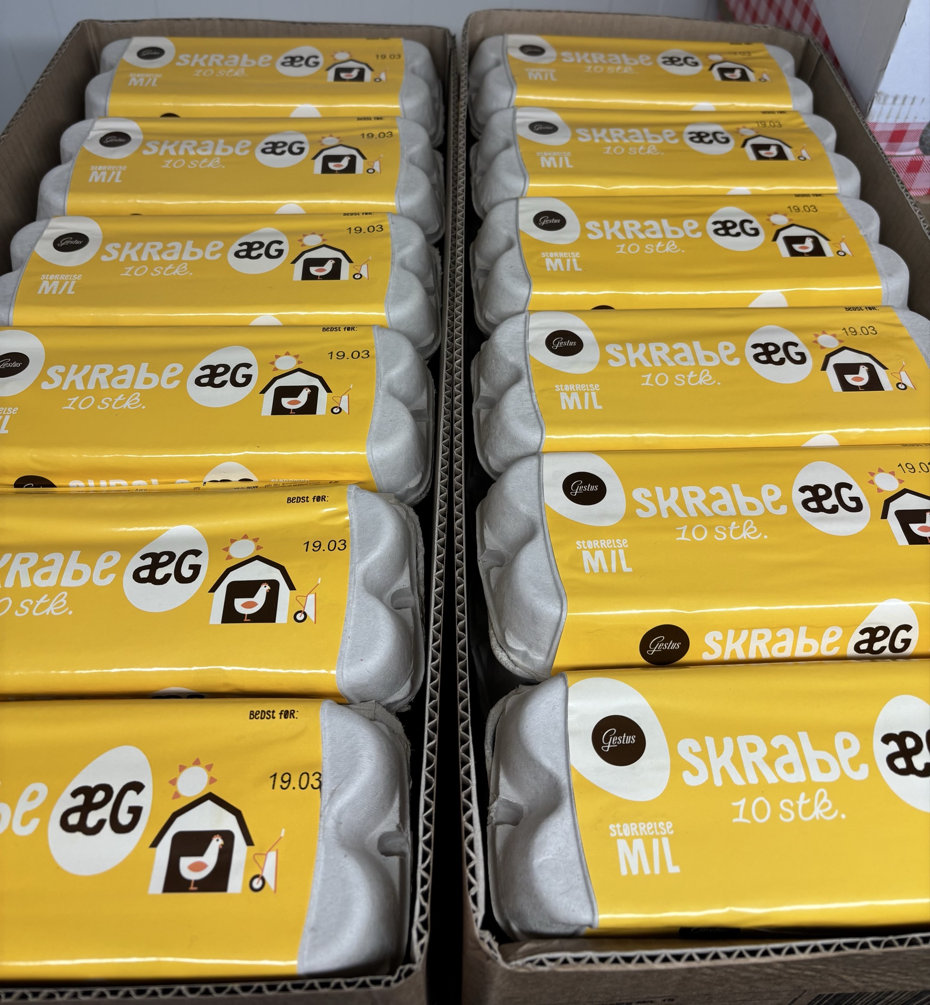 1 bakke Gestus skrabeæg