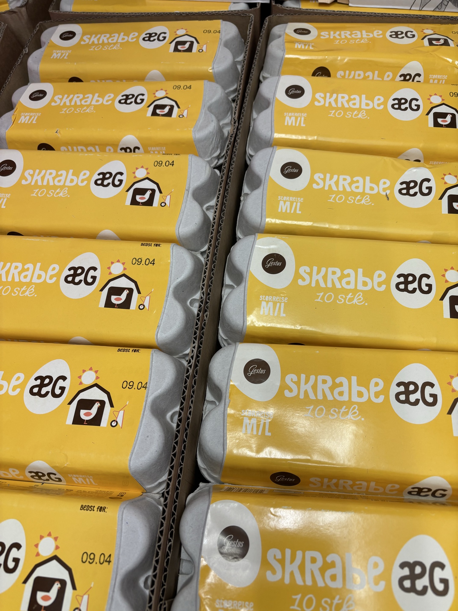 1 bakke Gestus skrabeæg