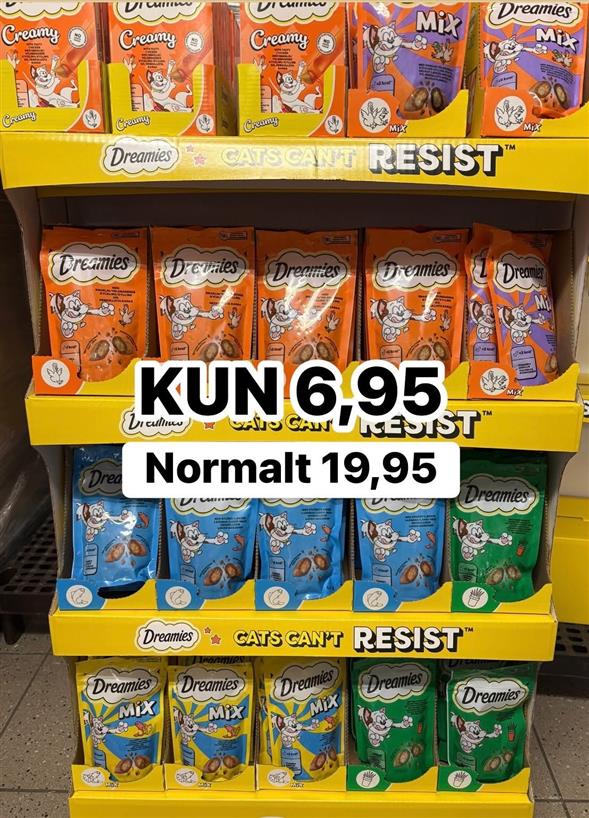 Dreamis katte snacks