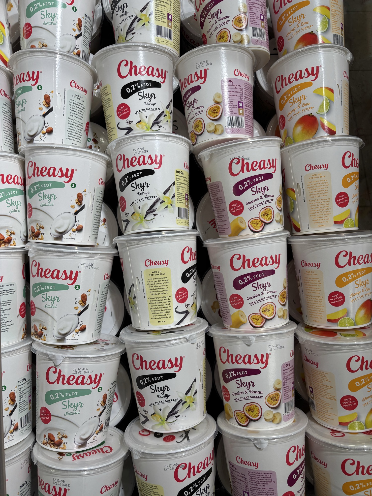 1 x Cheasy skyr