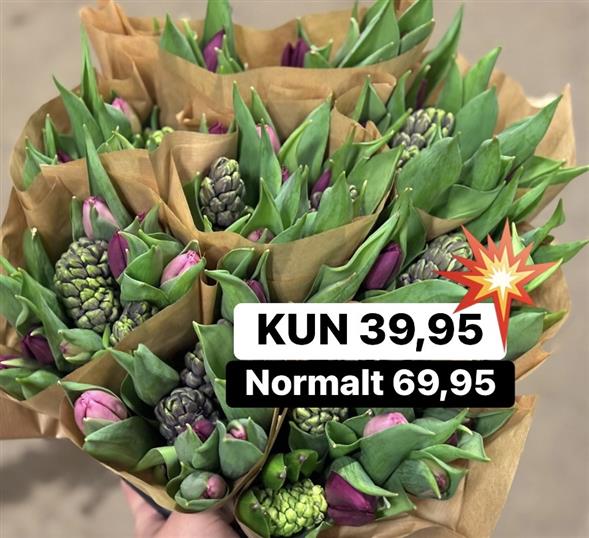 1 bundt Tulipaner m/hyacinter