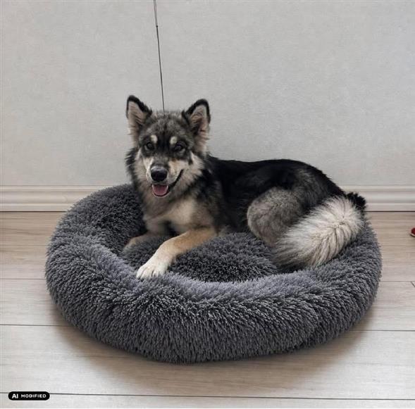 Fluffy hundekurv