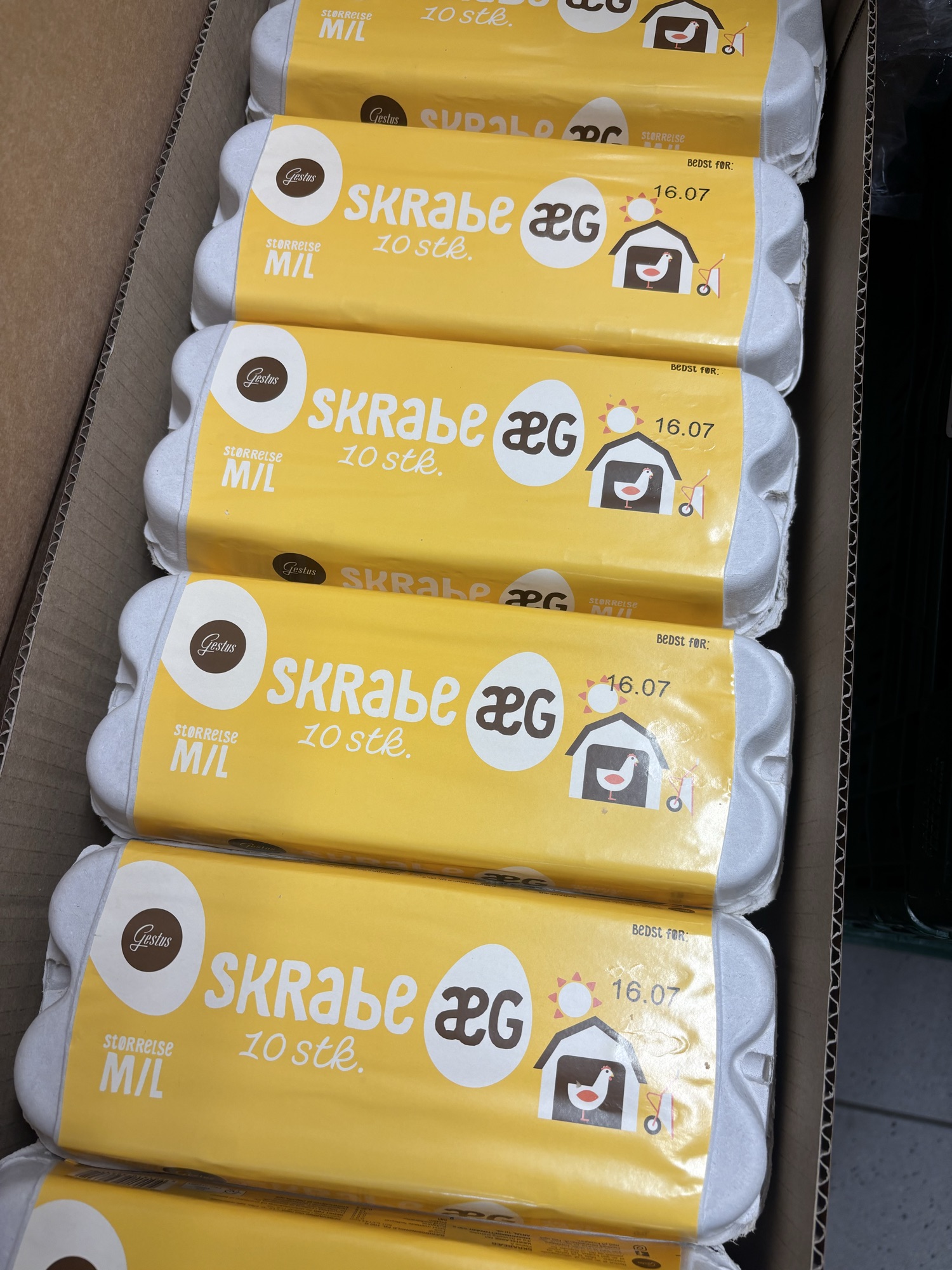 1 bakke gestus skrabeæg