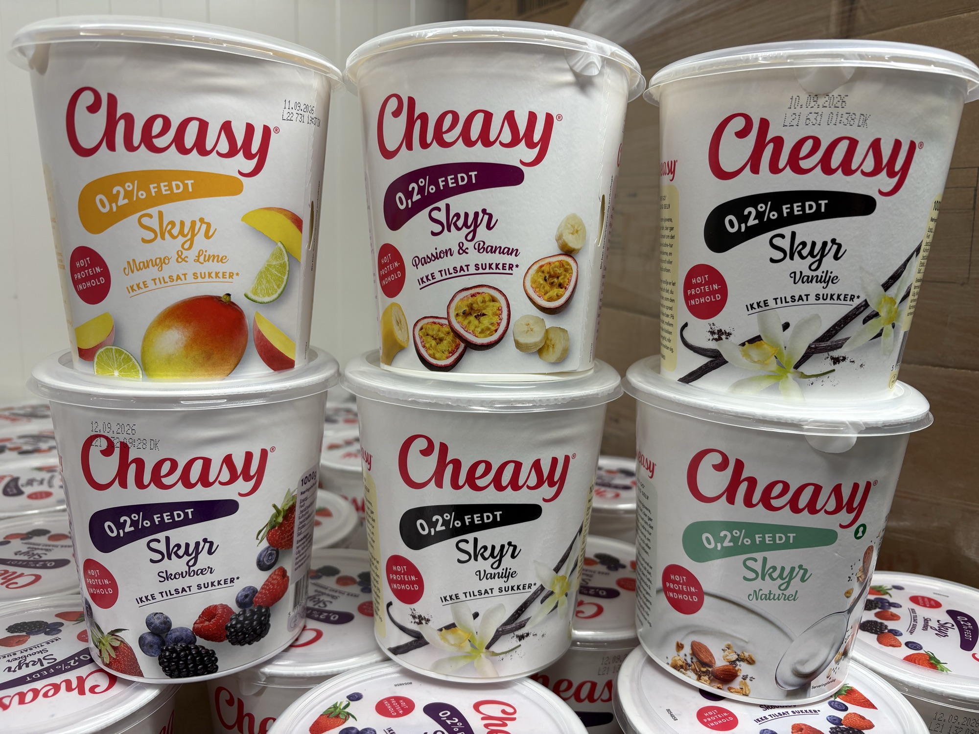 1 x Cheasy skyr