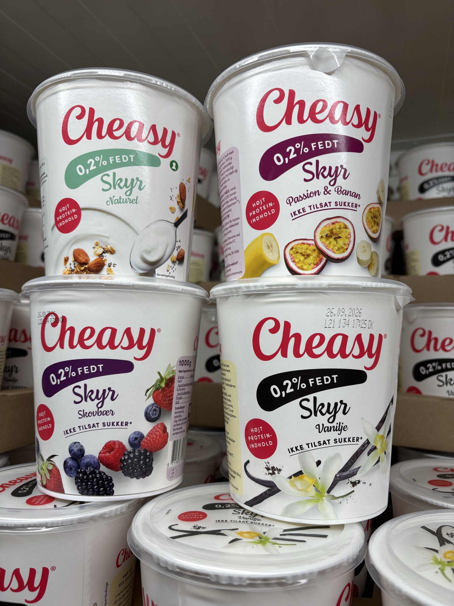 1 x Cheasy skyr