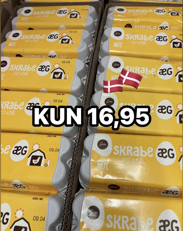 1 bakke Gestus skrabeæg