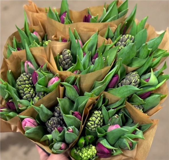 1 bundt Tulipaner m/hyacinter